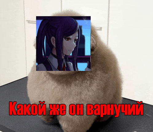 a stuffed animal with a picture of a girl on its back and the words " какой же он варнучий " below it