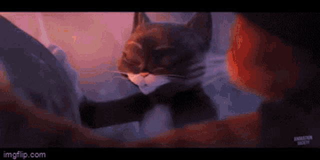 a black and white cat is standing next to a red cat in a movie scene .