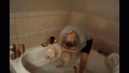 Just Keep Swimming GIF - Dog Bath Bath Tub GIFs