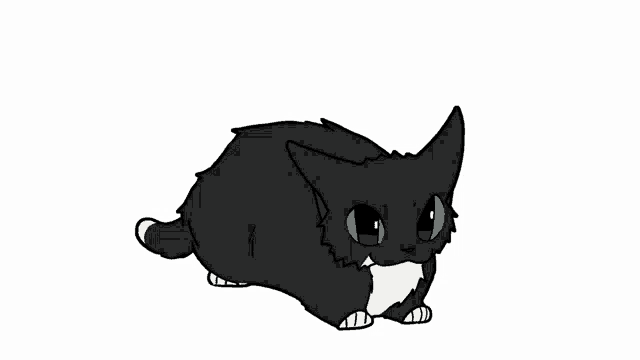 a black and white cat with green eyes and a white stripe on its chest is walking on a white background .