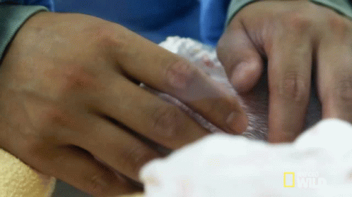 Taking Care A Miracle Baby GIF - Taking Care A Miracle Baby New Born GIFs