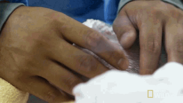 a close up of a person 's hands with national geographic written on the bottom