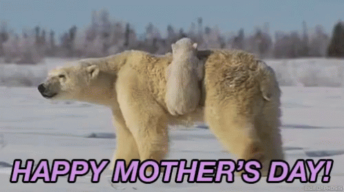 Happy Mothers Day GIF - Polar Bear Mothers Day GIFs