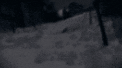 a snowy landscape with trees and a car in the background