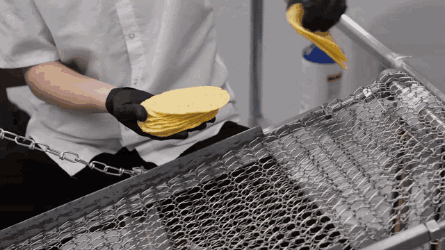 a person holding a stack of corn tortillas in their hands