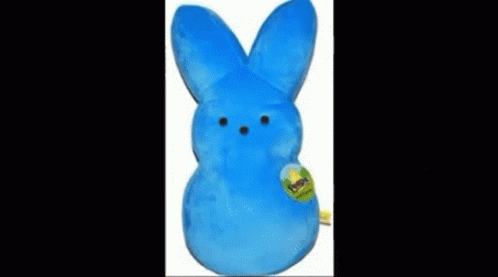 Braulio Braulio Peep GIF - Braulio Braulio Peep Peep Bunny GIFs