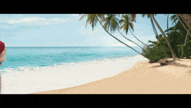 a person wearing a santa hat stands on a beach
