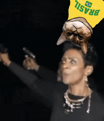a woman is holding a gun with a cat on her head with the word brasil on it
