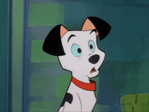 a dalmatian dog with a surprised look on its face