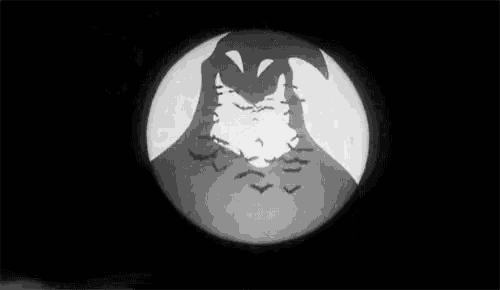 a flock of bats flying in front of a full moon in a black and white photo .