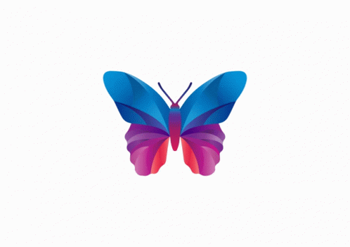 Butterfly Insect GIF - Butterfly Insect GIFs