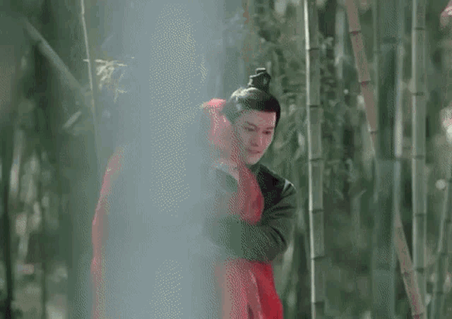 a man in a red dress is carrying a woman in a red dress in a bamboo forest .