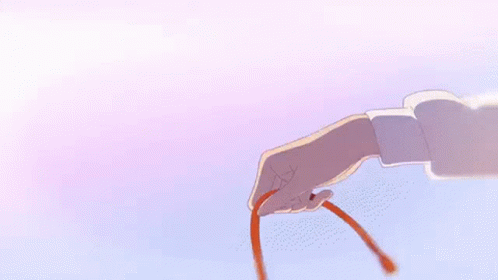 Your Name Rope GIF - Your Name Rope Cord GIFs