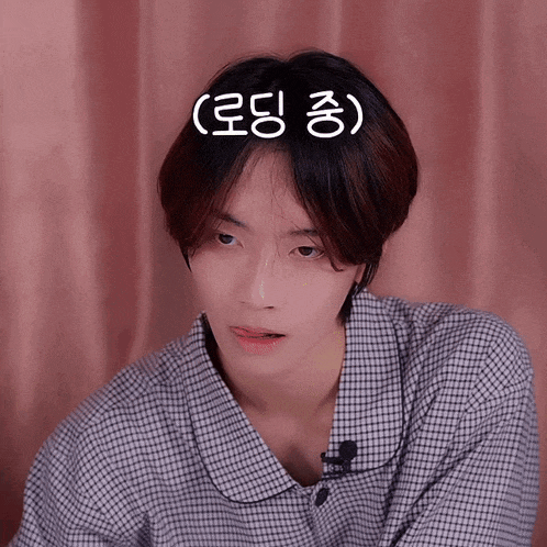 a young man wearing a plaid shirt and a microphone looks at the camera with korean writing above his head