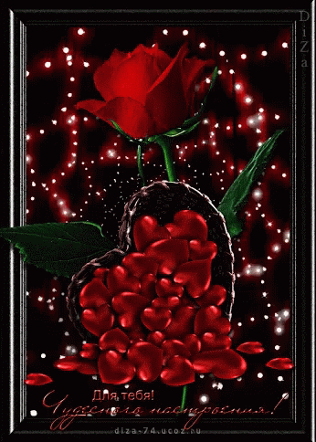 Nice One Have A Happy Year GIF - Nice One Have A Happy Year Roses GIFs