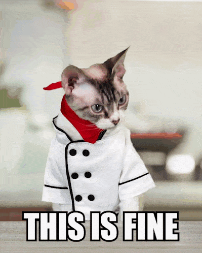 a cat dressed in a chef 's coat with the words this is fine below it