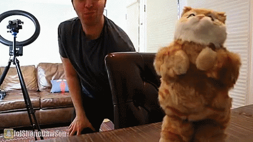 Dancing Cat GIF - Dancing Cat Toy GIFs