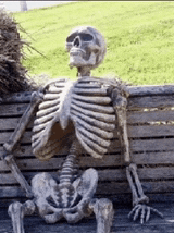 a skeleton is sitting on a wooden bench in the grass .
