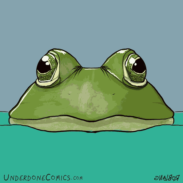 Frog Frogs GIF - Frog Frogs Bullfrog GIFs