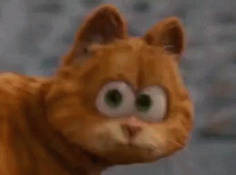 惊呆，加菲猫 GIF - Shocked Surprised Garfield GIFs