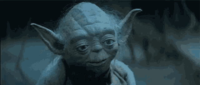 Until Youre A Father Yoda GIF - Until Youre A Father Yoda GIFs