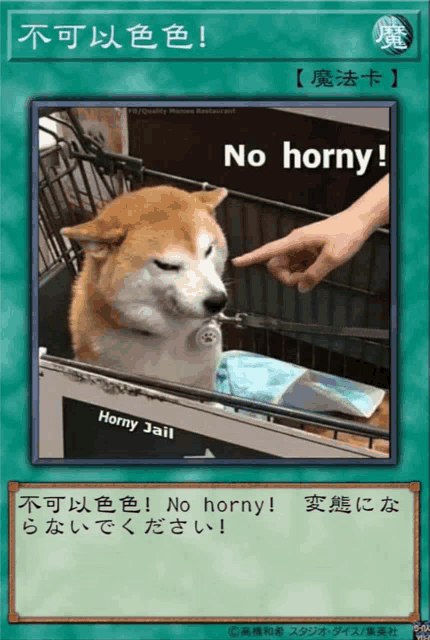 a picture of a dog with the words no horny on it