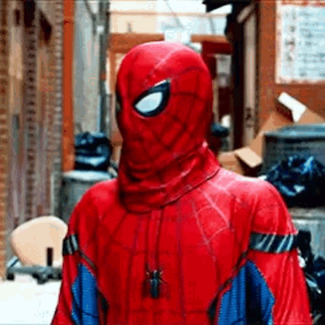 Spiderman Suit On GIF - Spiderman Suit On GIFs