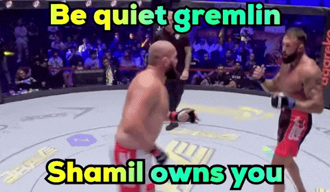 two men fighting in a ring with the words be quiet gremlin shamil owns you above them