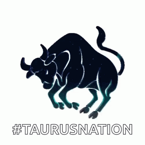Taurus Nation Taurus The Bull GIF