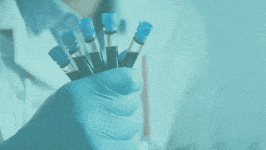 a hand holding a bunch of test tubes with nordic wellth written on the top