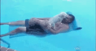 Piscine GIF - Dog Swimming Float GIFs