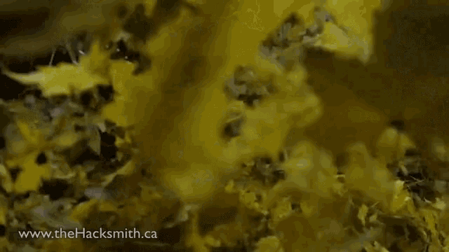 Leaf Blower Oh Yes GIF - Leaf Blower Oh Yes Slow Motion GIFs