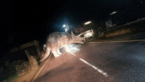 a rhinoceros is walking down a street at night