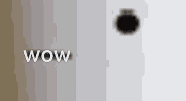 the word wow is on a white background with a black circle in the middle .