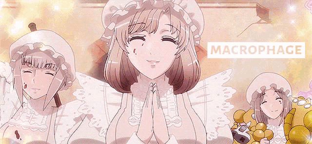 a group of anime characters with the word macrophage in the corner