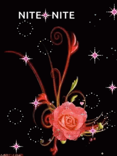 Floral Rose GIF - Floral Rose Shiny GIFs