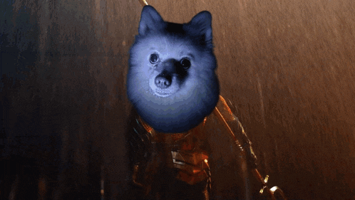 a dog with the words in a world of chaos behind it