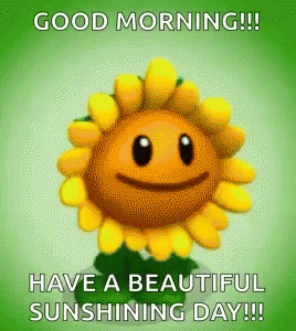 Sunflower Glow GIF - Sunflower Glow Good Morning GIFs