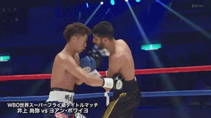 パンチ　ノックアウト 井上尚弥 Naoya Inoue ボクシング　ボクサー GIF