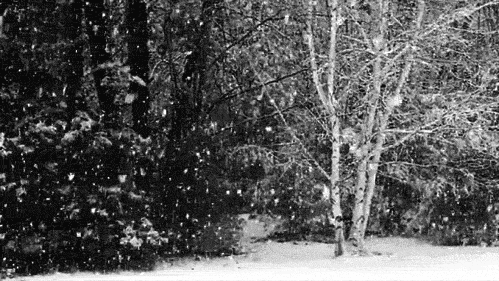 It'S Snowing GIF - Snow Winter Snowfall GIFs