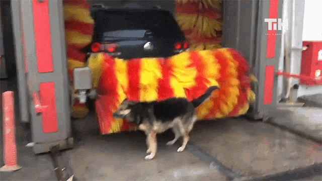 Wash Car Wash GIF