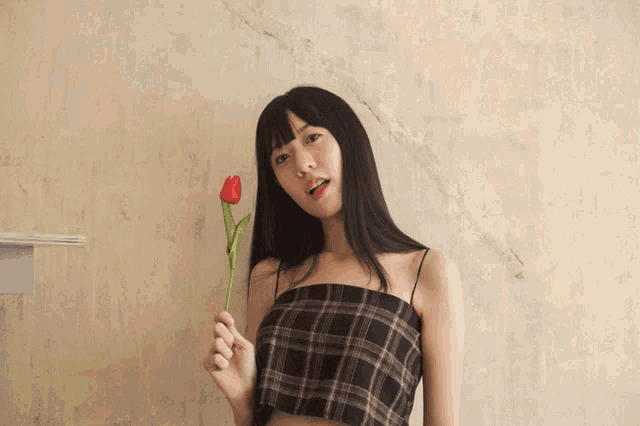 a woman in a plaid top is holding a red rose