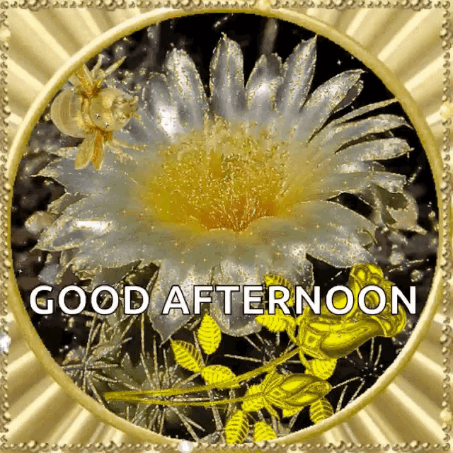 Good Aftrernoon Greetings GIF - Good Aftrernoon Greetings Flower GIFs