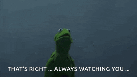 Kermit Sith GIF