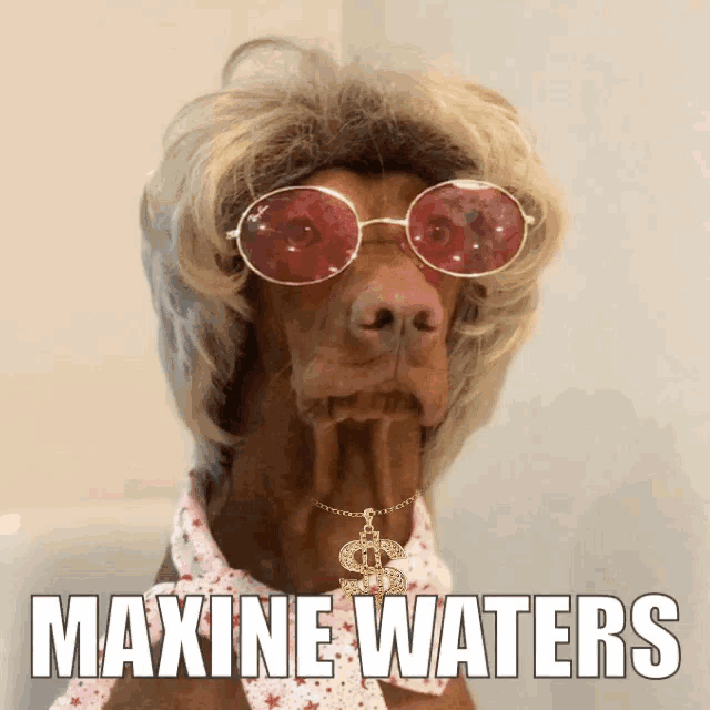Maxine Waters GIF - Maxine Waters Good GIFs