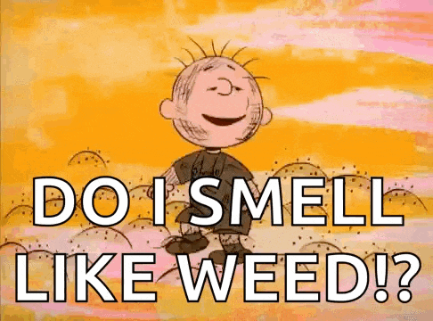do i smell like weed ? is written on a cartoon character 's face .