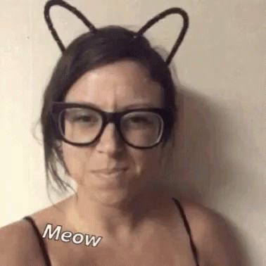 Shanni Cat GIF - Shanni Cat Meow GIFs