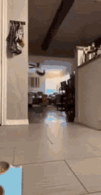 a person is standing in a hallway looking at a living room .