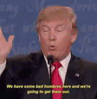 Trump Debate GIF