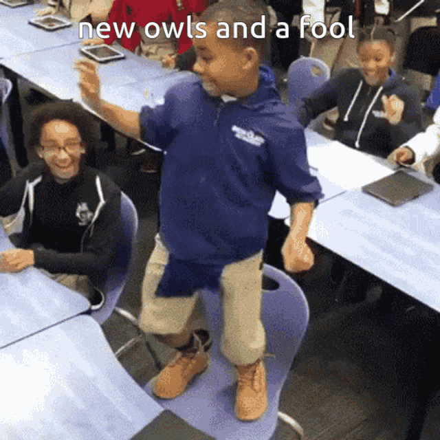 Owls And A Fool GIF - Owls And A Fool GIFs